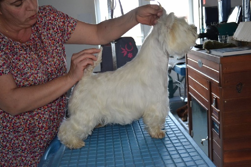 Jolie mome du clos des galinettes